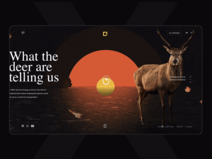 The Best Web Design Trends for 2023 4