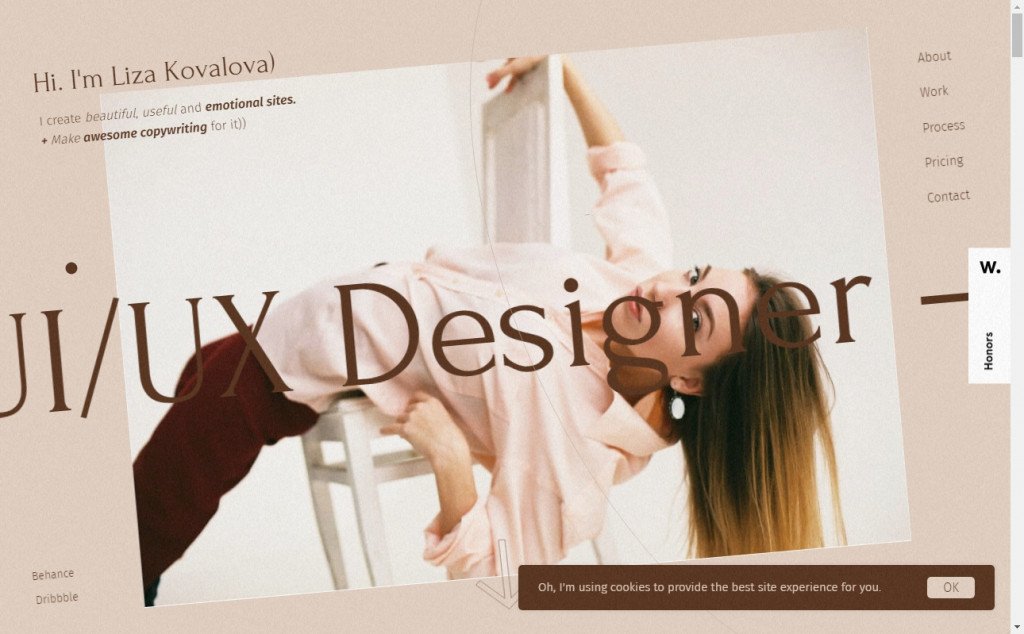 16 Beautifully Designed Brown Websites 15