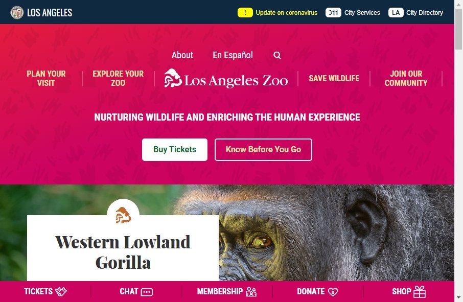 Zoo Websites Design 2