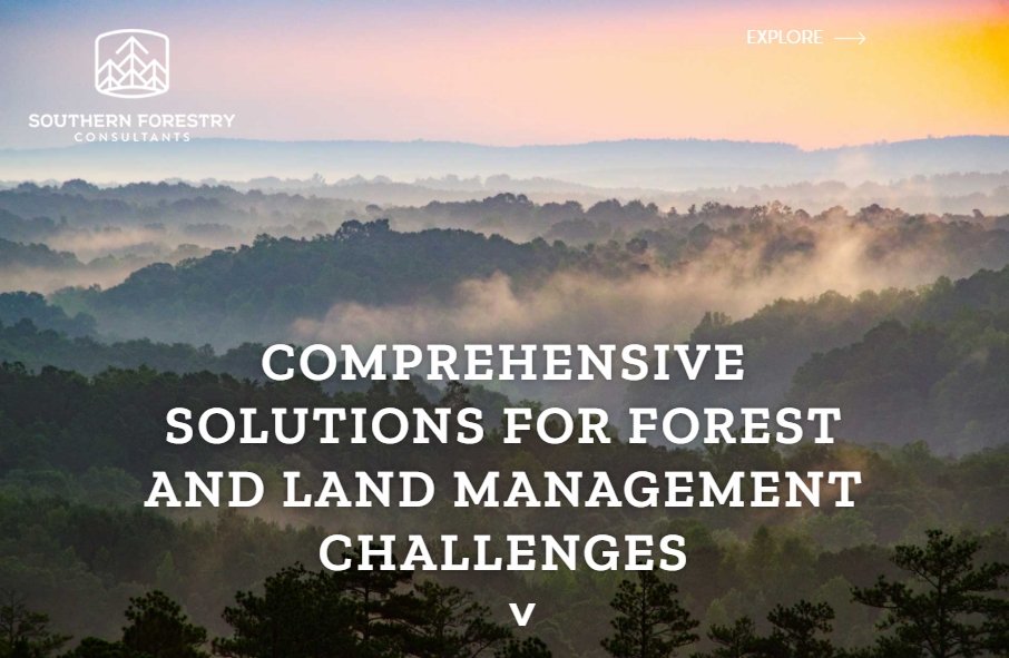 12 Forestry Website Examples to Inspire Your Site 9