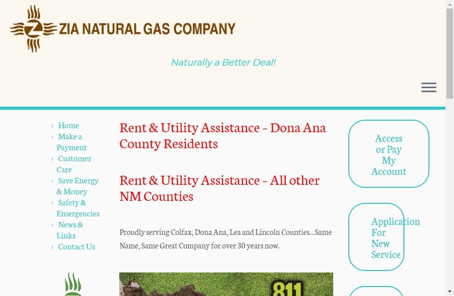 Gas Websites Examples 9