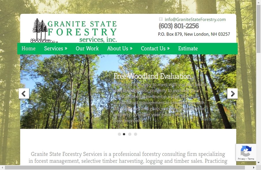 12 Forestry Website Examples to Inspire Your Site 12