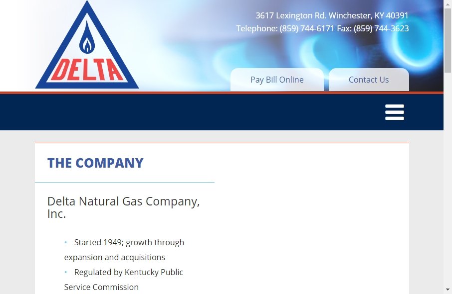 Gas Websites Examples 12