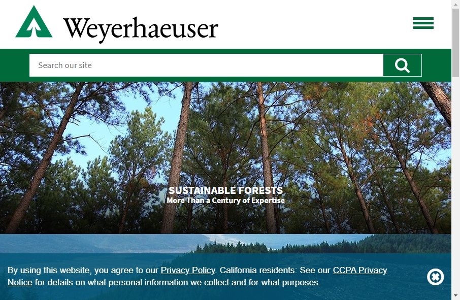 12 Forestry Website Examples to Inspire Your Site 4