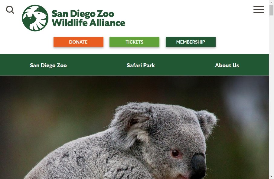 Zoo Websites Design 5