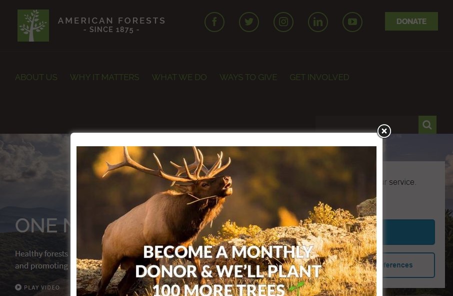 12 Forestry Website Examples to Inspire Your Site 8