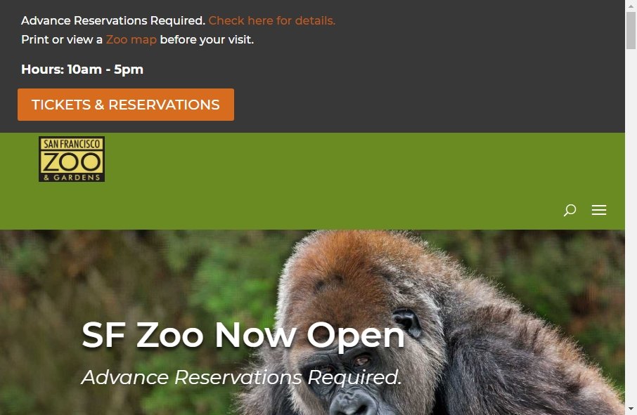 Zoo Websites Design 10