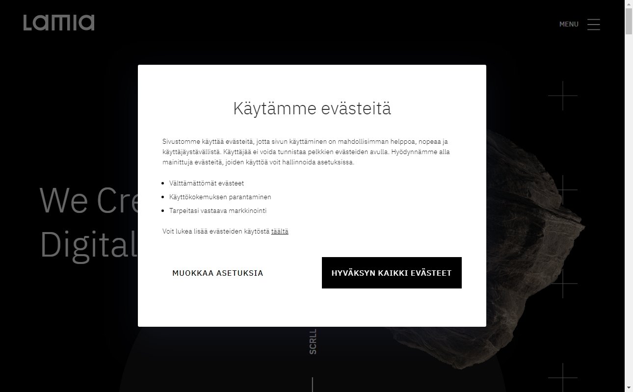 Best Finland Website Development Firms 13