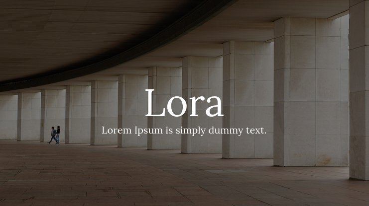 25 Best Serif Fonts For Websites: A Complete Guide 17