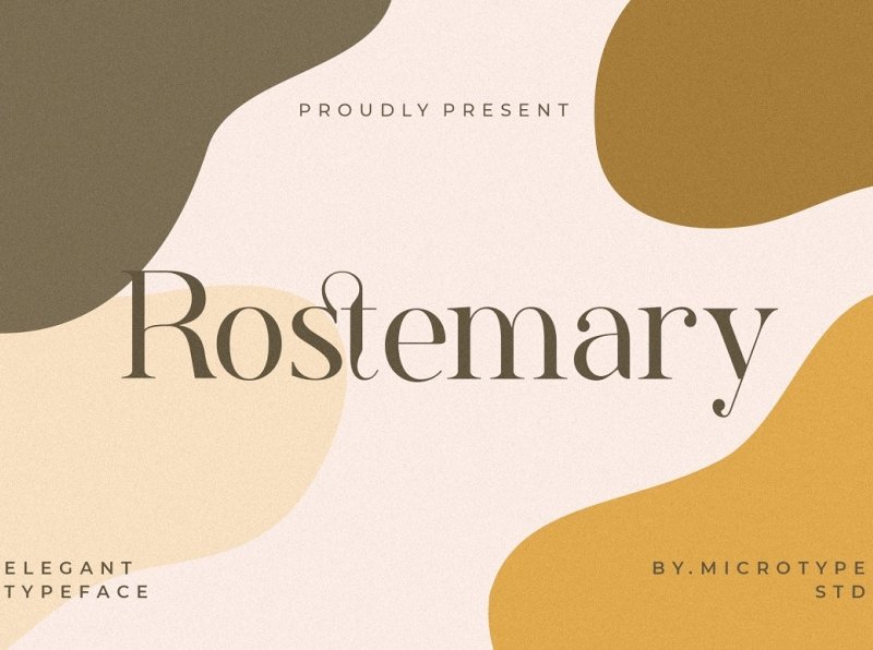 25 Best Serif Fonts For Websites: A Complete Guide 22